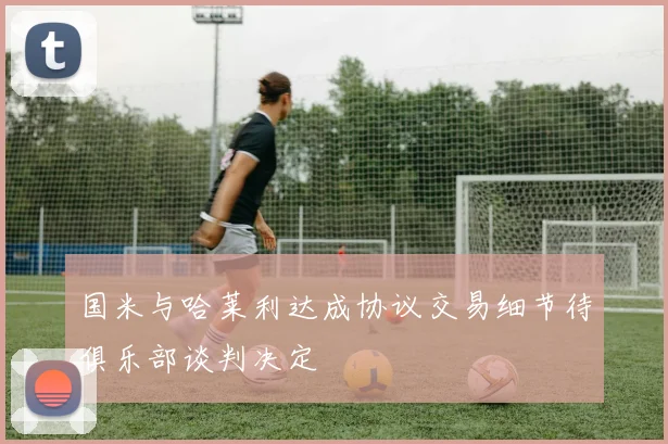国米与哈莱利达成协议交易细节待俱乐部谈判决定