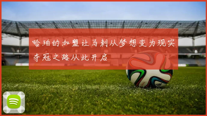 哈珀的加盟让马刺从梦想变为现实夺冠之路从此开启