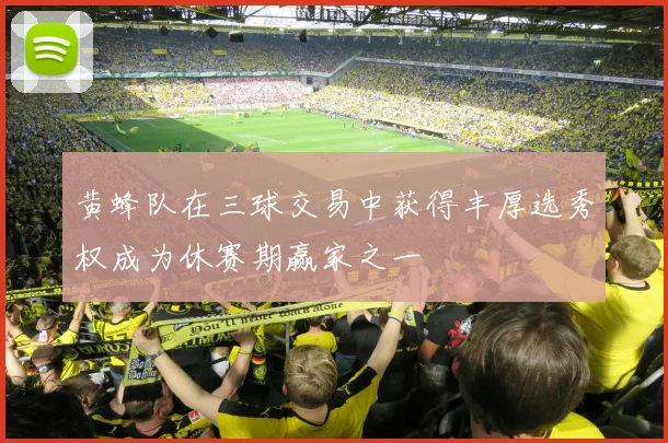 黄蜂队在三球交易中获得丰厚选秀权成为休赛期赢家之一